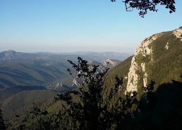 L'envolee